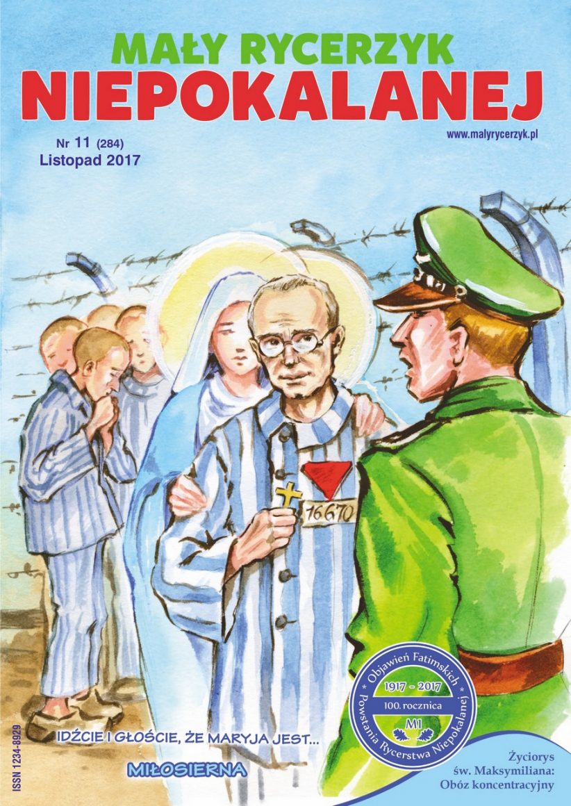 okladka_mrn_11_2017m